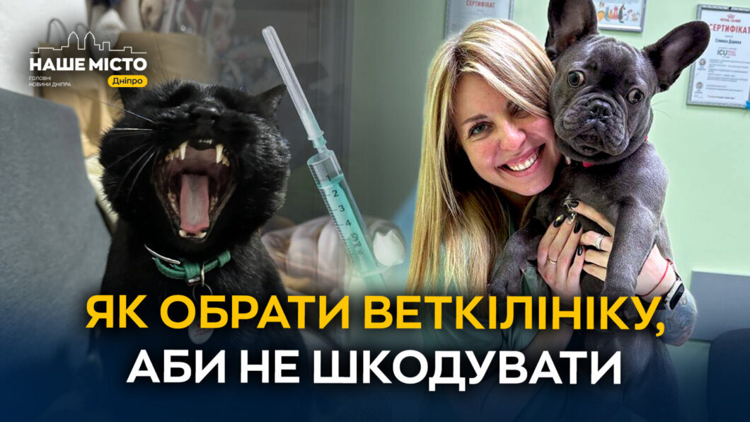 ЕКСКЛЮЗИВ
Як обрати ветклініку, аби не шкодувати