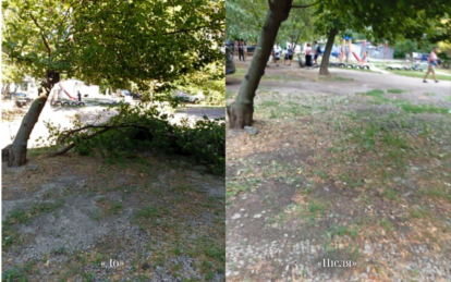 У Дніпрі продовжують прибирати аварійні дерева та сміття за заявками містян