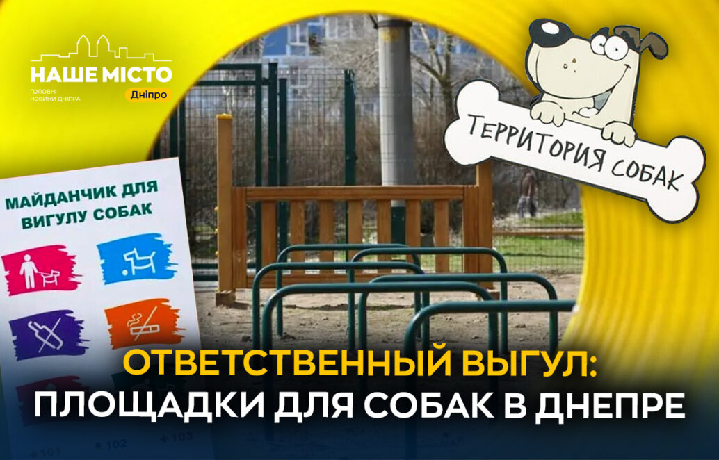 Безопасное пространство для животных: как работают семь специальных площадок для собак в Днепре