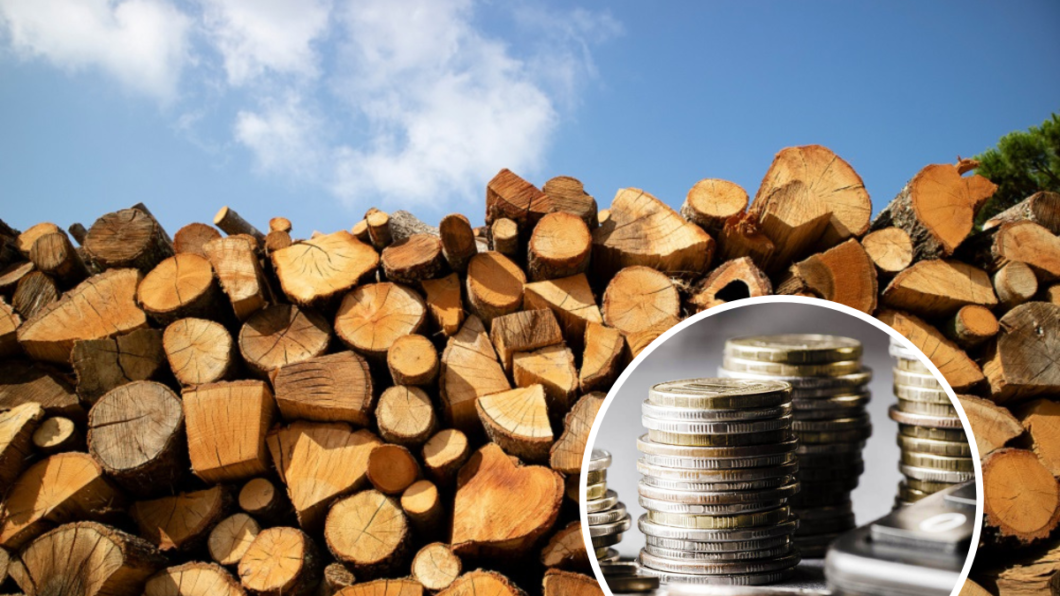 До 19 400 грн на дрова: українці можуть отримати допомогу на опалювальний сезон