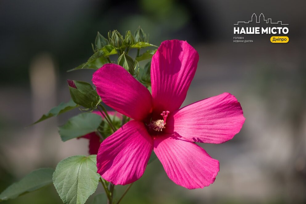 Що не можна робити 7 серпня: народні прикмети та заборони