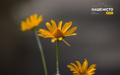 Яке сьогодні свято: традиції, прикмети та заборони 5 серпня