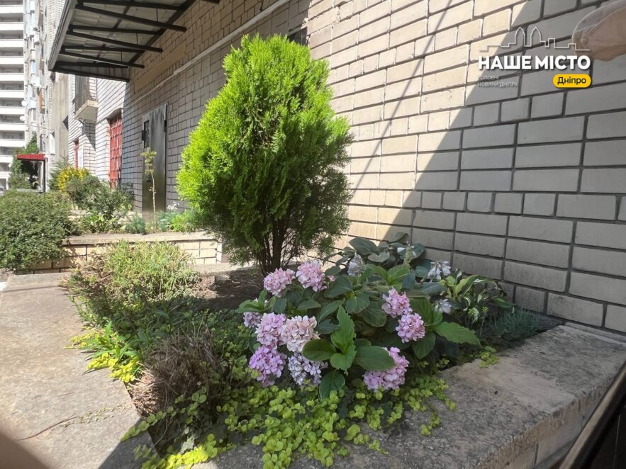Зелене подвір’я зусиллям громади: як у Дніпрі ОСББ «Форсаж 2» змінює простір на вулиці Робоча