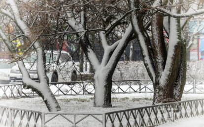 Коли в Україні очікувати перші морози: синоптики назвали дату