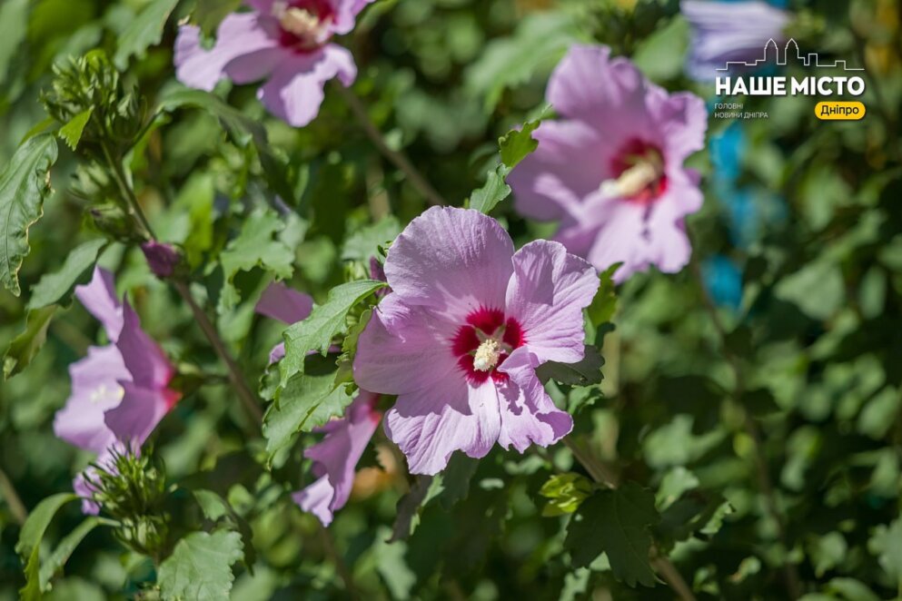 Що не можна робити 16 вересня