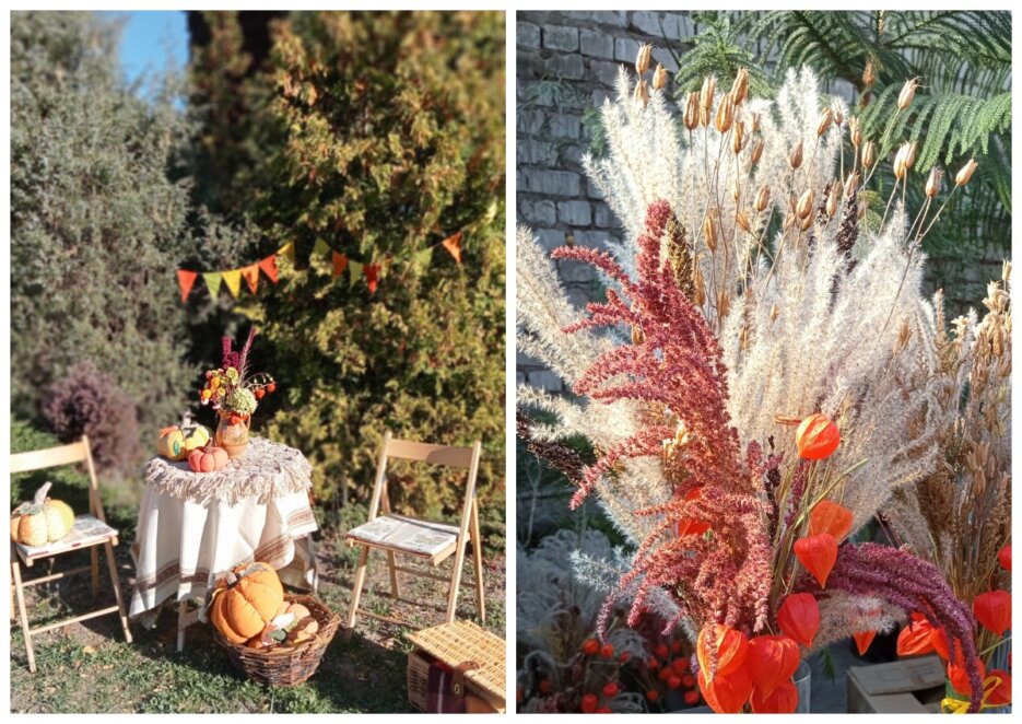 Ботсад ДНУ 18 жовтня 2025 - Наше Місто