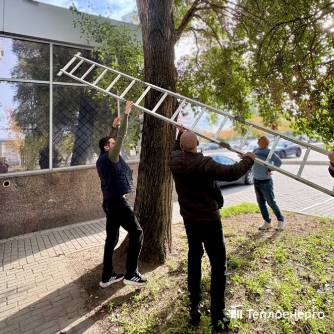 В Днепре работники «Теплоэнерго» спасли кота, застрявшего на дереве