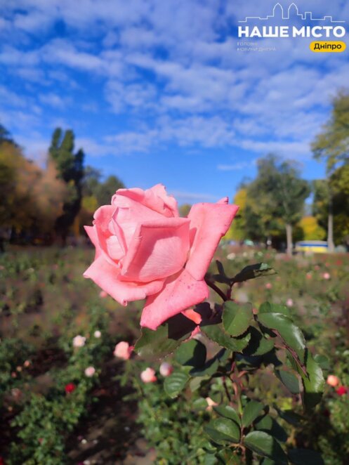 Парк Глоби осень 2025 - Наше Місто