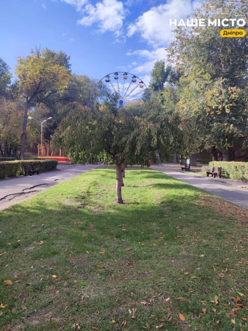 Парк Глоби осень 2025 - Наше Место