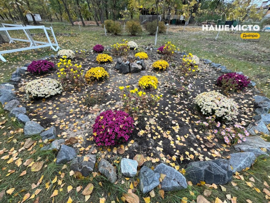 У парку Сагайдак облаштували лавандове поле та висадили хризантеми
