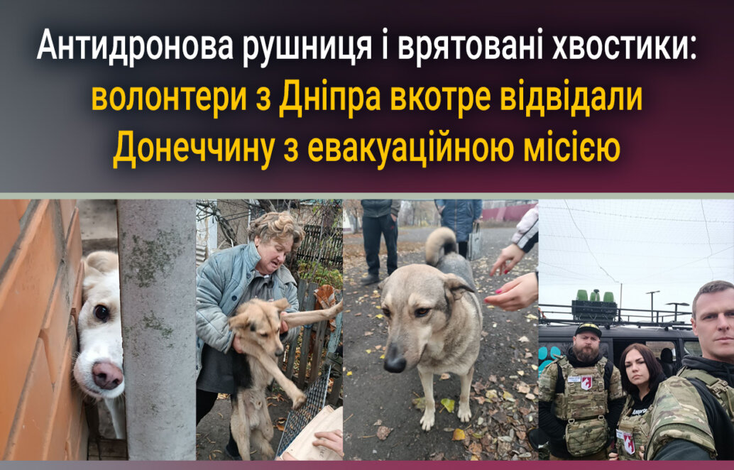 ЕКСКЛЮЗИВ
                                Антидронова рушниця і врятовані хвостики: волонтери з Дніпра відвідали Донеччину з евакуаційною місією