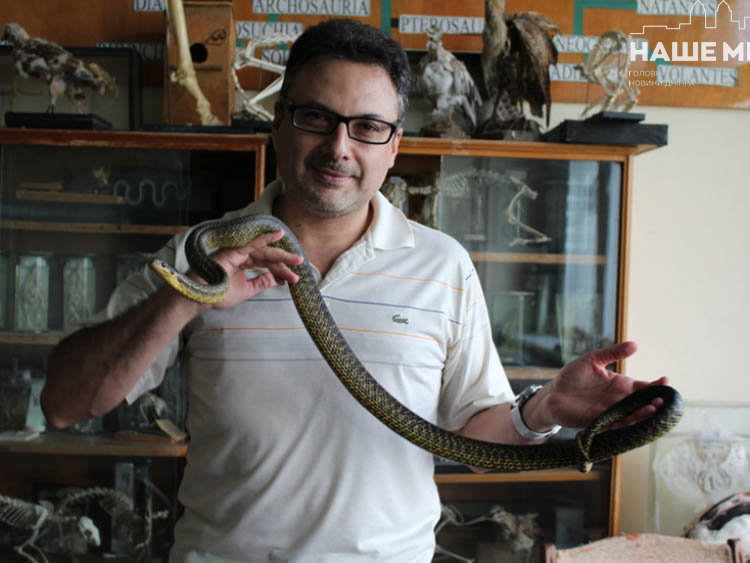 ЕКСКЛЮЗИВ
                                Гади не сплять: на Дніпропетровщині активізувалися гадюки