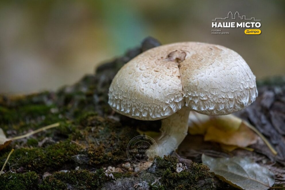 Що не можна робити 24 листопада: народні прикмети та заборони