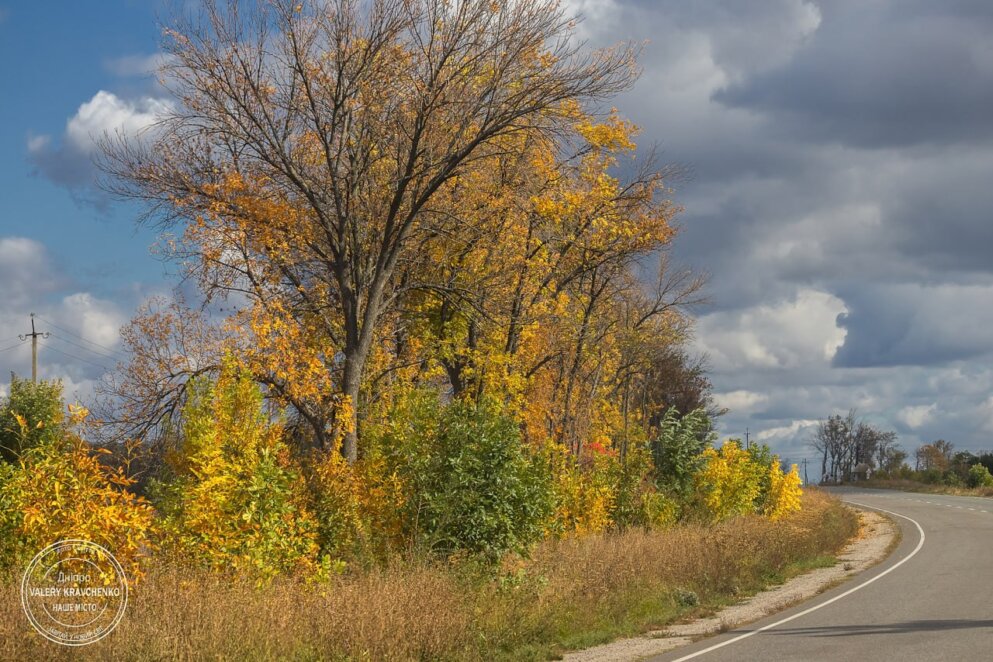 Друге бабине літо: Україна насолоджуватиметься теплом і сонцем весь тиждень