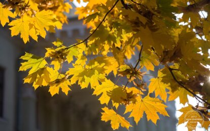 У Дніпрі встановлено два нові температурні рекорди - Наше Місто