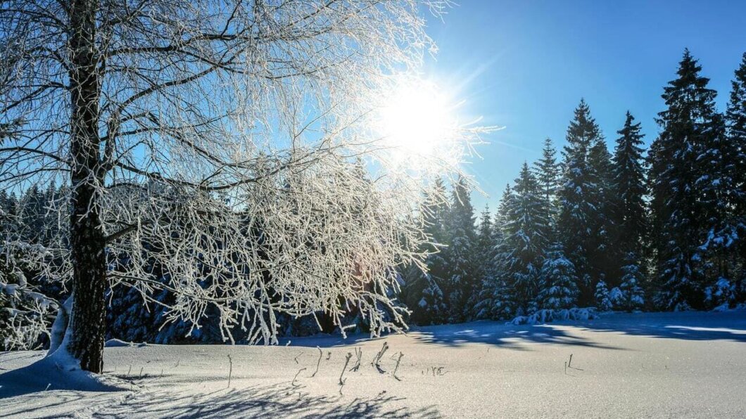 Найдовша ніч року: коли українці зустрінуть зимове сонцестояння 2025 року