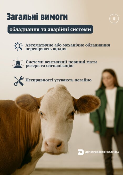 З 1 січня в Україні запроваджують європейські стандарти утримання сільськогосподарських тварин