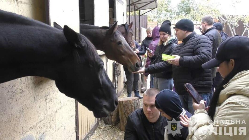 ЕКСКЛЮЗИВ
                                Сімейний кінний клуб “Алюр” у Дніпрі: історії, характер і філософія життя поруч із кіньми