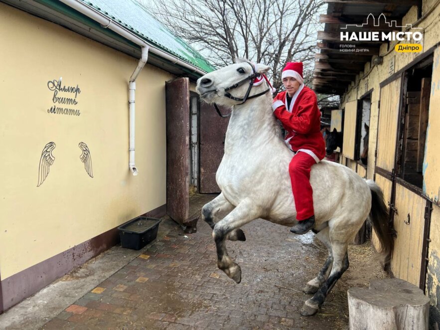 ЕКСКЛЮЗИВ
                                Сімейний кінний клуб “Алюр” у Дніпрі: історії, характер і філософія життя поруч із кіньми