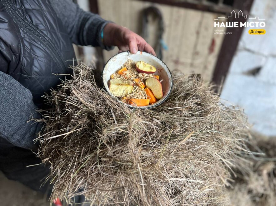 ЕКСКЛЮЗИВ
                                Сімейний кінний клуб “Алюр” у Дніпрі: історії, характер і філософія життя поруч із кіньми