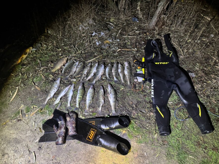 Нічне підводне полювання: на Самарі затримали браконьєрів-професіоналів - Наше Місто