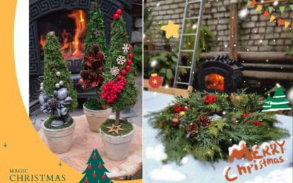 В Днепре в Ботсаду ДНУ проведут серию новогодних мастер-классов в теплице