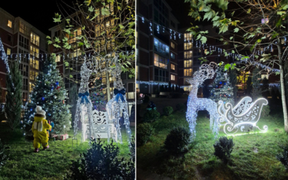 Олени, сани и праздничная ёлка: в Днепре на Левобережном-3 жители создали новогоднюю сказку во дворе