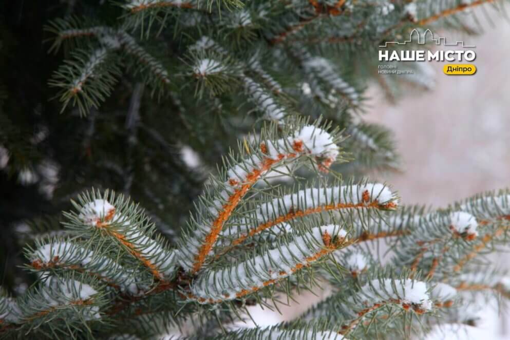 Морози до -13 градусів: прогноз погоди в Україні та Дніпрі на 25 грудня