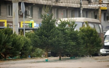 Що робити, щоб ялинка довше стояла в кімнаті на Різдво та Новий рік