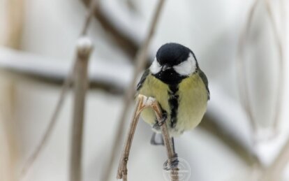 Какой церковный праздник 30 декабря: традиции и приметы
