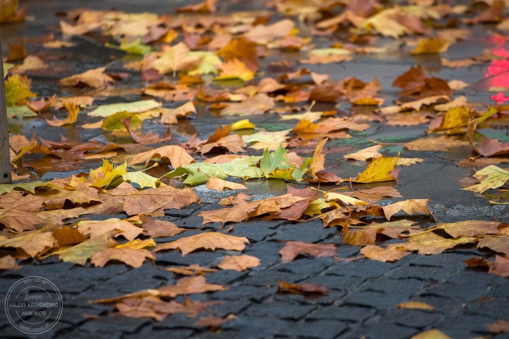 День святого Миколая принесе в Україну холод на шквальний вітер: прогноз погоди на вихідні