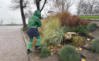 У Дніпрі готують зелені насадження до зимового періоду
