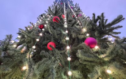 У Дніпрі урочисто відкрили різдвяну ялинку у сквері Прибережному - Наше Місто