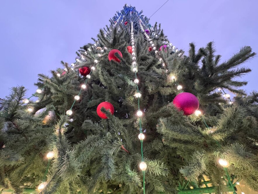 У Дніпрі урочисто відкрили різдвяну ялинку у сквері Прибережному - Наше Місто