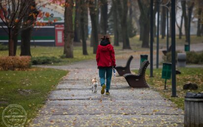 тепла осінь