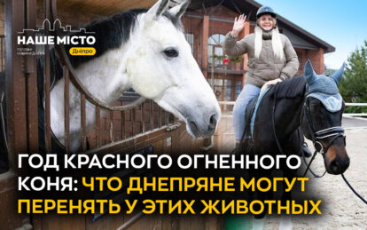 Год Красного Огненного Коня: чему днепряне могут поучиться у лошадей