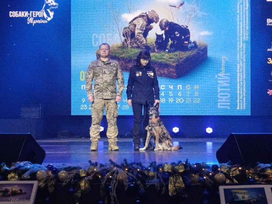 Королева пошуку: собаку Спаркі з Павлограда нагородили орденом за порятунок людей