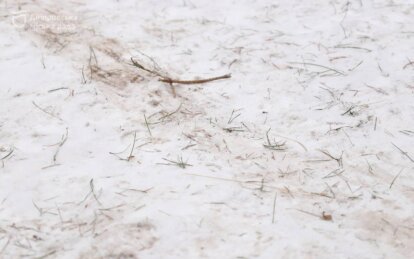 Проверили 45 локаций: как в Днепре контролируют уборку новогодних рынков