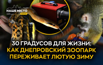 Морозы и блэкауты: как зоопарк «Живая Планета» в Днепре спасает животных от холода