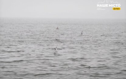 Купання на Водохреща у Дніпрі: кому можна, а кому — категорично ні, поради від лікарів