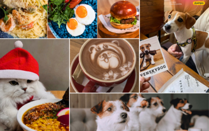 Pet-friendly заведения Днепра: где отдохнуть с домашними любимцами