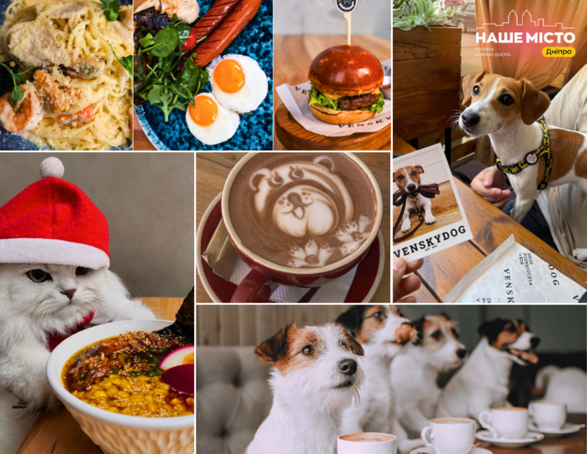 Pet-friendly заклади Дніпра: де відпочити з домашніми улюбленцями