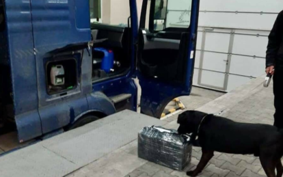 Нюх сильніший за схованки: як митні собаки у Дніпрі допомагають ловити контрабанду