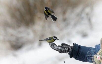 Рекордные морозы в истории Украины: когда и где было зафиксировано максимальные холода
