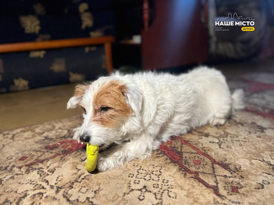 ЕКСКЛЮЗИВ
                                Ікони від матерів загиблих врятували: історія волонтерки з Дніпра, яка дивом вціліла під час шахедної атаки