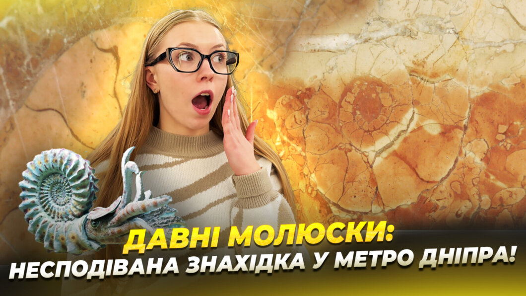 Несподівана знахідка: у метро Дніпра знайшли відбитки давніх молюсків