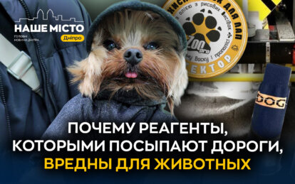 Почему реагенты, которыми посыпают дороги, вредны для животных