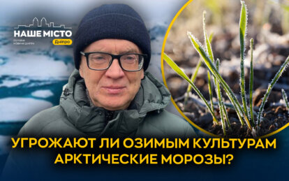 Сильные морозы в Украине 2026: есть ли угроза для урожая в Днепропетровской области
