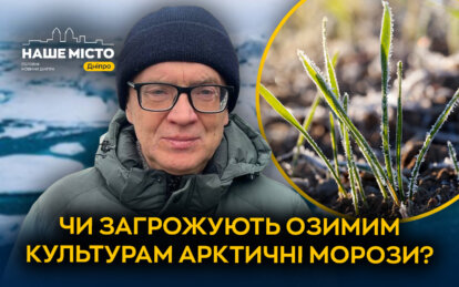 Сильні морози в Україні 2026: чи є загроза для врожаю на Дніпропетровщині