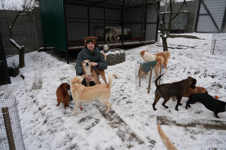 Одна ледь не загинула від голоду, інша — від холоду: історія врятованих такс із зон бойових дій